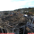 18_05-nest.jpg