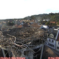 18_10-nest.jpg
