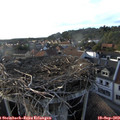 18_15-nest.jpg