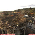 18_25-nest.jpg