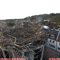 18_30-nest.jpg