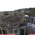 18_35-nest.jpg