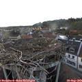 18_45-nest.jpg