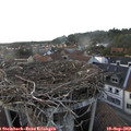 18_50-nest.jpg