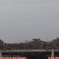 19_00-mast.jpg