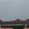 19_05-mast.jpg