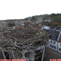 19_05-nest.jpg