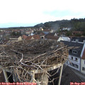 07_20-nest.jpg