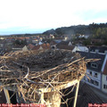 07_25-nest.jpg