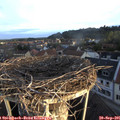 07_30-nest.jpg