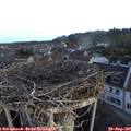 07_35-nest.jpg