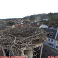 07_40-nest.jpg