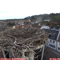 07_45-nest.jpg