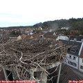 07_50-nest.jpg
