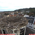 08_00-nest.jpg