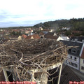 08_05-nest.jpg