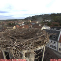 08_10-nest.jpg
