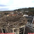 08_15-nest.jpg