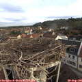 08_20-nest.jpg