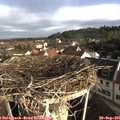 08_25-nest.jpg