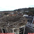 08_30-nest.jpg