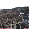 08_35-nest.jpg