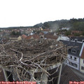 08_45-nest.jpg