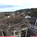 08_55-nest.jpg