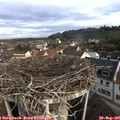 09_00-nest.jpg