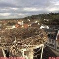 09_05-nest.jpg