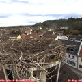 09_10-nest.jpg