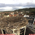 09_15-nest.jpg