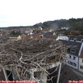 09_25-nest.jpg