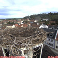 09_30-nest.jpg