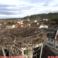 09_35-nest.jpg