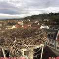 09_40-nest.jpg
