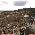 09_55-nest.jpg