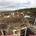 10_05-nest.jpg