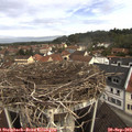 10_10-nest.jpg
