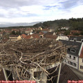 10_15-nest.jpg