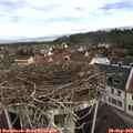 10_20-nest.jpg