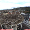 10_25-nest.jpg