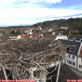10_35-nest.jpg