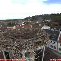 10_40-nest.jpg