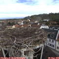 10_45-nest.jpg