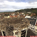 10_50-nest.jpg