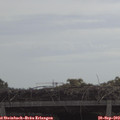 10_55-mast.jpg