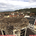10_55-nest.jpg