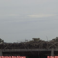 11_05-mast.jpg