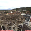 11_05-nest.jpg
